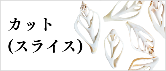 カットシェル