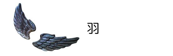 羽貝殻パーツ