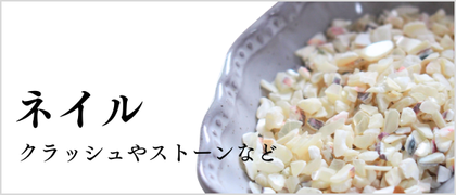 ネイル用貝殻