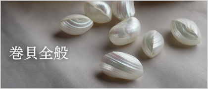巻貝パーツ