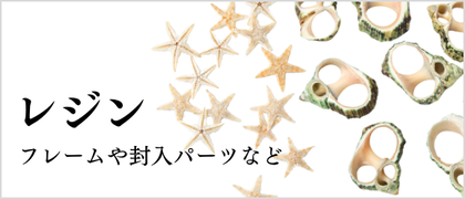 レジン用貝殻