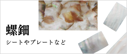 螺鈿用貝殻